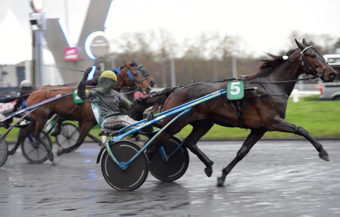 Trebol spurtar till seger i Prix du Luxembourg på Vincennes januari 2016. Segergest av kusken Gabriel Angel Pou Pou. Foto: Lars Jakobsson, TR Bild Foto av Lars Jakobsson, TR Bild